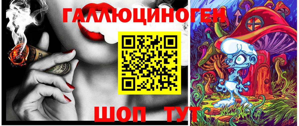 Галлюциногенные грибы Psilocybe Зерноград