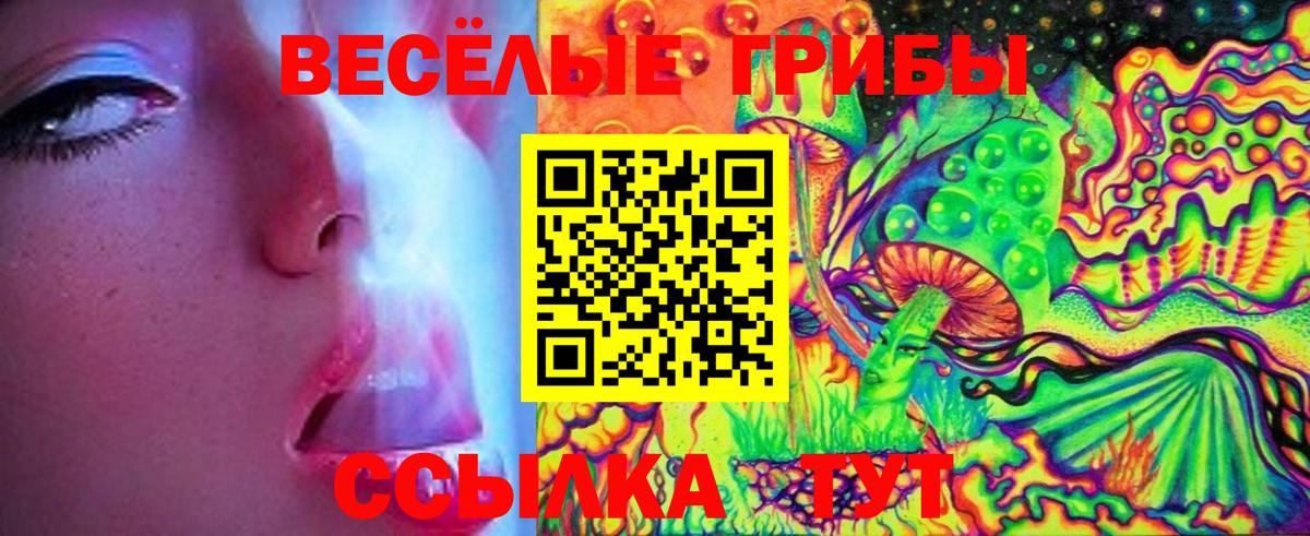 Зерноград  Псилоцибиновые грибы Psilocybe  Вход с VPN 