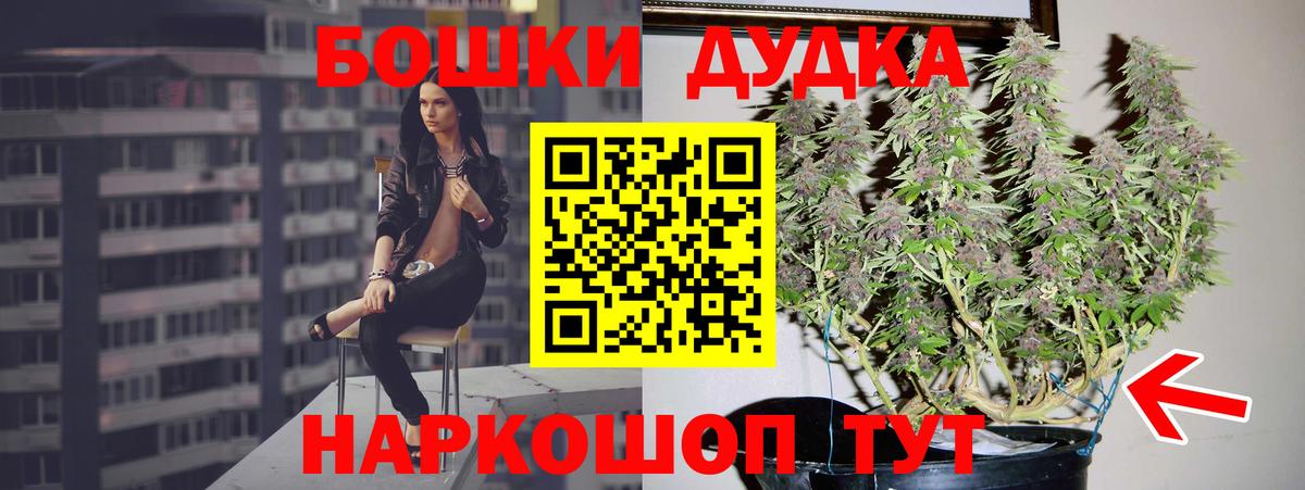 Шишки марихуана конопля  Бошки марихуана тримм  Бошки марихуана White Widow  Вход с VPN  Зерноград 